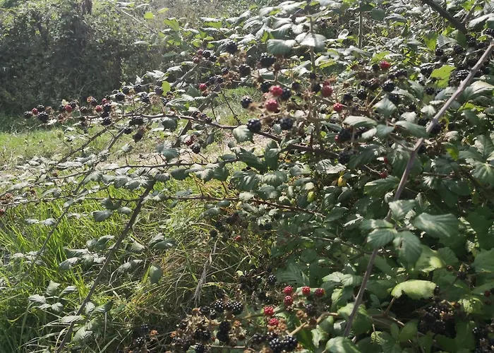 La Mandra ベッド・アンド・ブレックファスト 3*